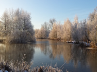cold summerbay